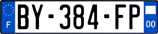 BY-384-FP