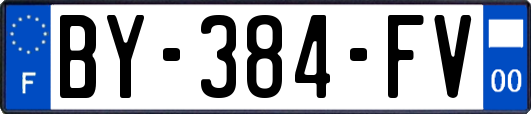 BY-384-FV