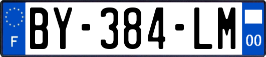 BY-384-LM