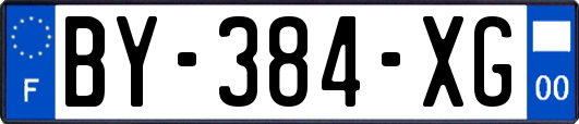 BY-384-XG