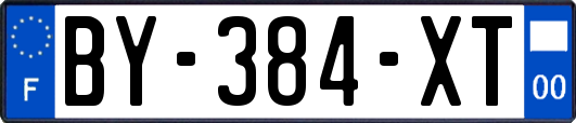 BY-384-XT