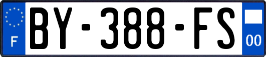 BY-388-FS