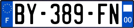 BY-389-FN