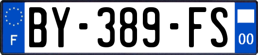 BY-389-FS