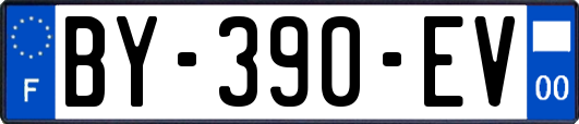 BY-390-EV