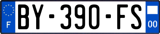 BY-390-FS