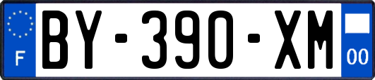 BY-390-XM