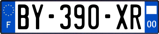 BY-390-XR
