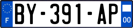 BY-391-AP