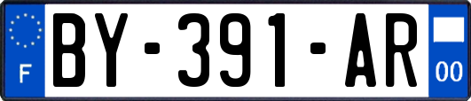 BY-391-AR