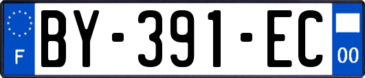 BY-391-EC