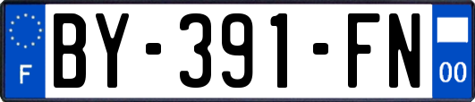 BY-391-FN