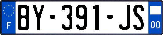 BY-391-JS