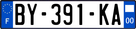BY-391-KA
