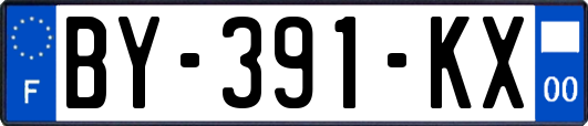 BY-391-KX