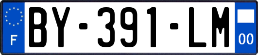 BY-391-LM