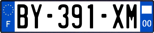 BY-391-XM