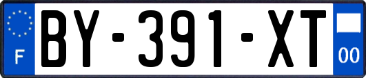 BY-391-XT
