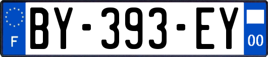 BY-393-EY
