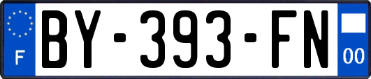 BY-393-FN