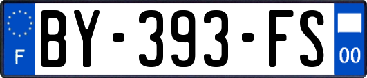 BY-393-FS