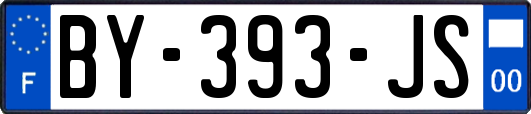 BY-393-JS