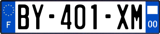 BY-401-XM