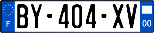 BY-404-XV