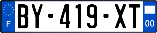 BY-419-XT