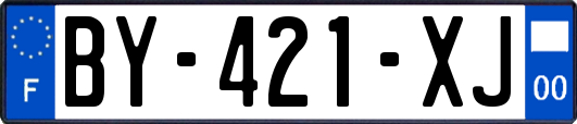 BY-421-XJ