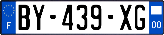 BY-439-XG