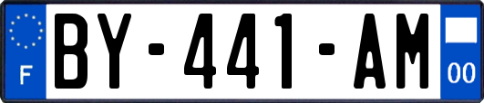 BY-441-AM