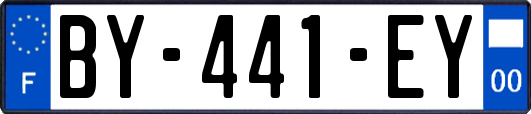 BY-441-EY