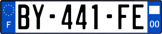 BY-441-FE