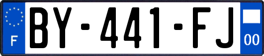 BY-441-FJ