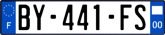 BY-441-FS