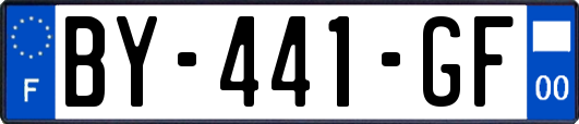 BY-441-GF