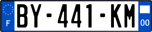 BY-441-KM