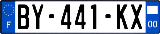 BY-441-KX