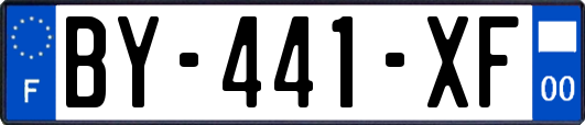 BY-441-XF