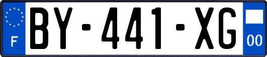 BY-441-XG