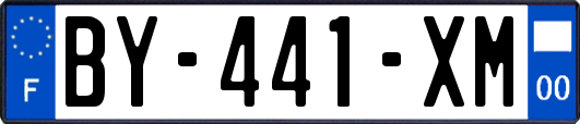 BY-441-XM
