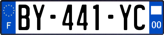 BY-441-YC