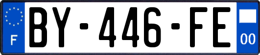 BY-446-FE