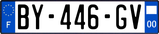 BY-446-GV