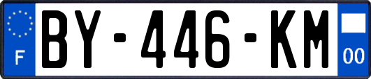 BY-446-KM