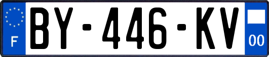 BY-446-KV