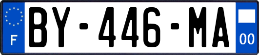 BY-446-MA