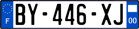 BY-446-XJ