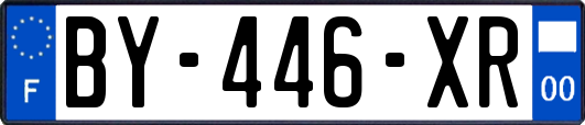 BY-446-XR